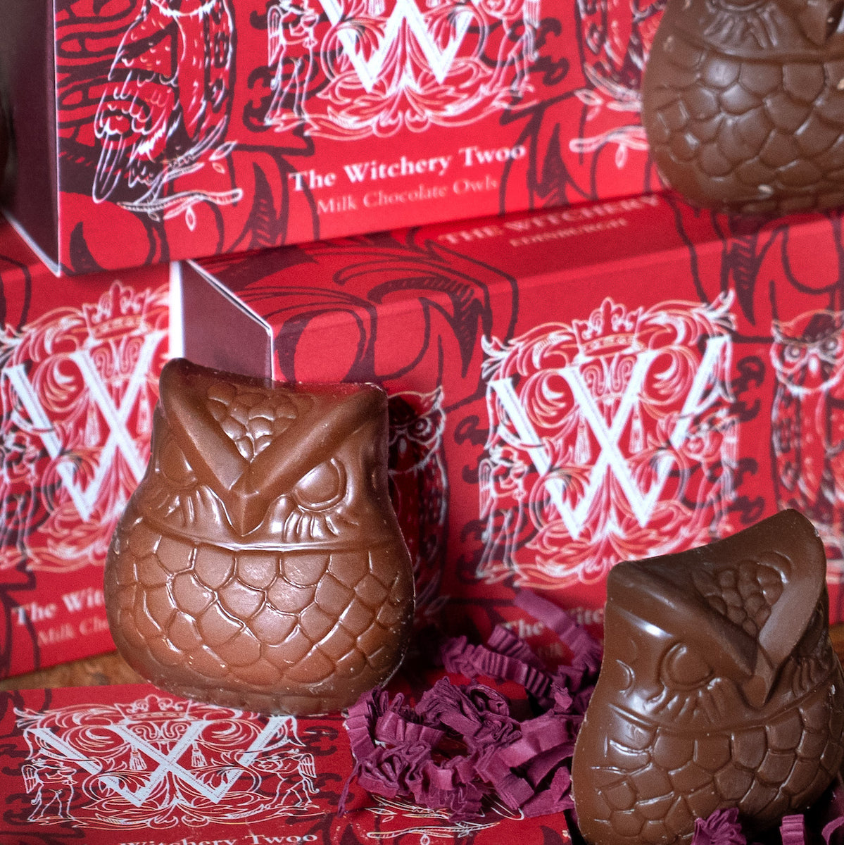 Chocolate Owl Duo