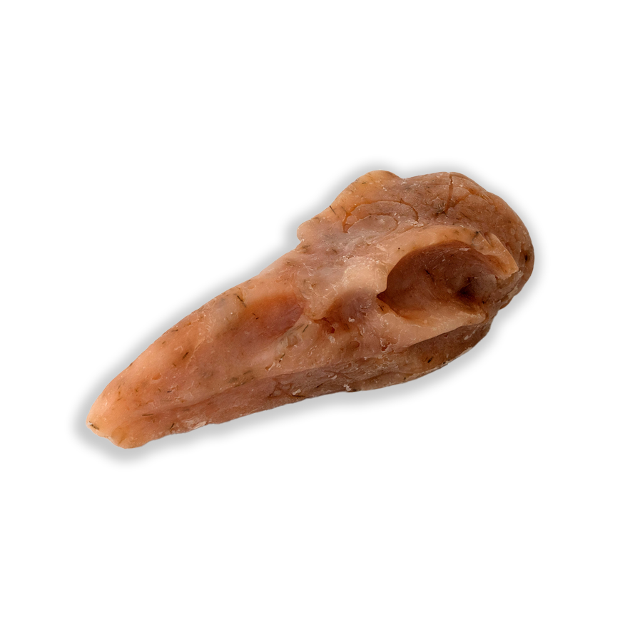 Crow Skull Shower Bar