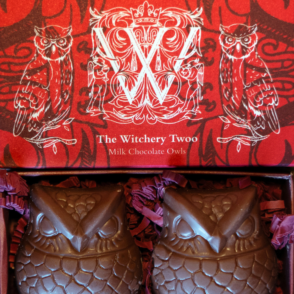 Chocolate Owl Duo