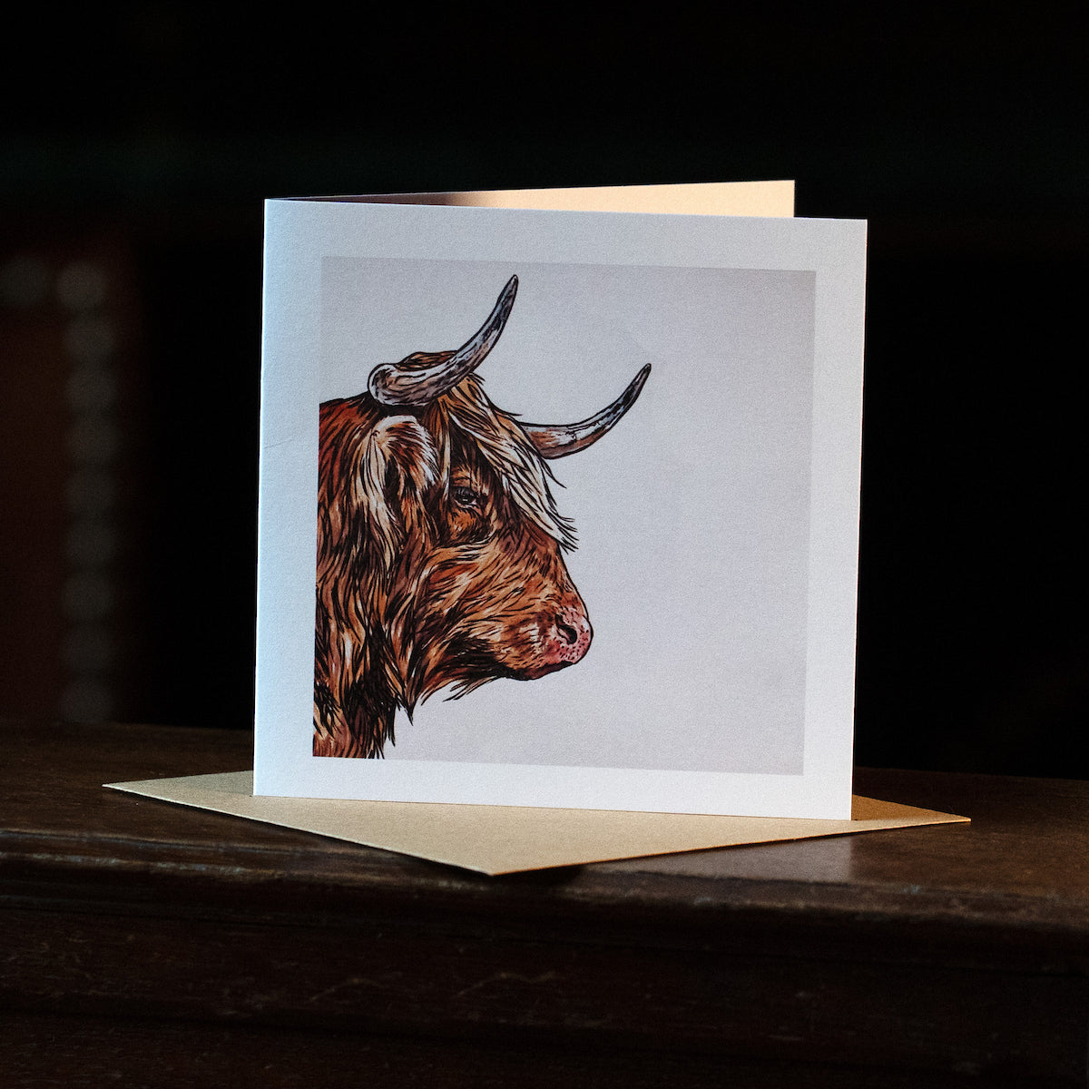 Highland Coo card