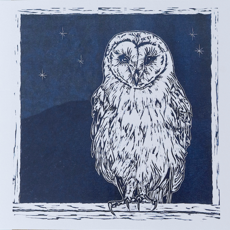Owl Greeting Card